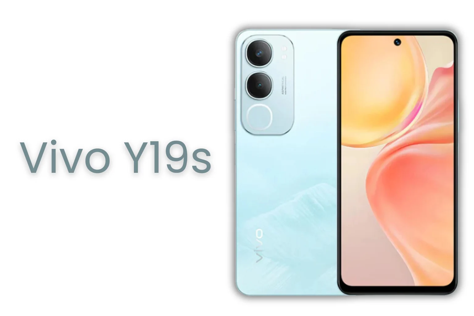 Vivo Y19s price in Nepal